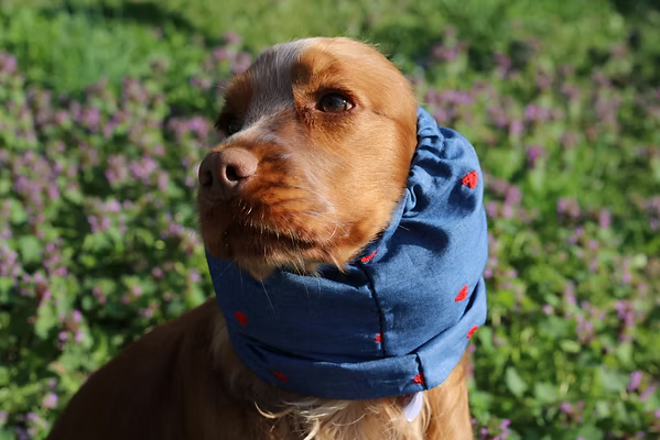 Snood en coton