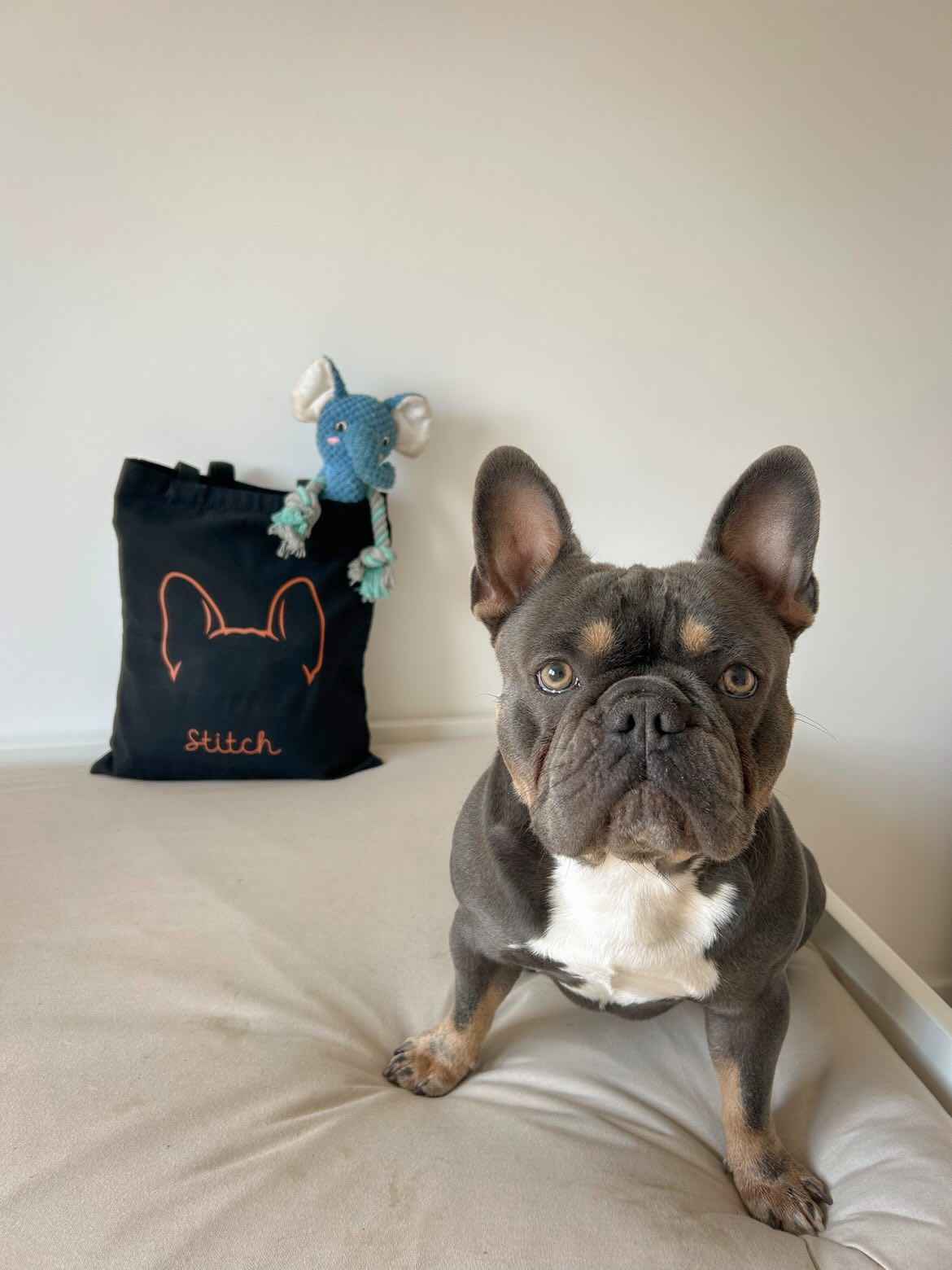 Totebag personnalisable
